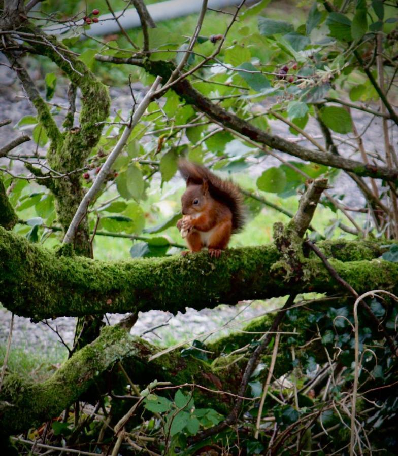 Cross Haw Cottage Sedbergh Bagian luar foto